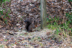 IMG_3638 IMG_3638
