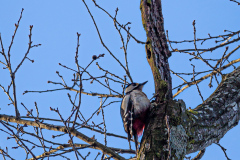 IMG_3873 IMG_3873