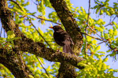 IMG_5678 IMG_5678