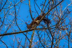 IMG_4114 IMG_4114