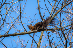 IMG_4117