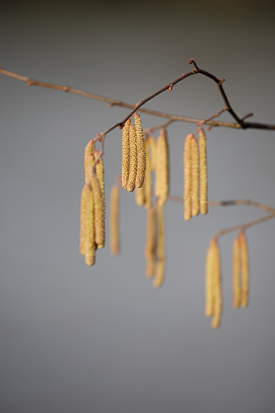 Allgemein