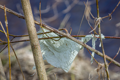 Allgemein