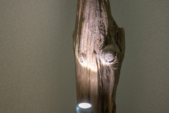 Schwemmholzlampe